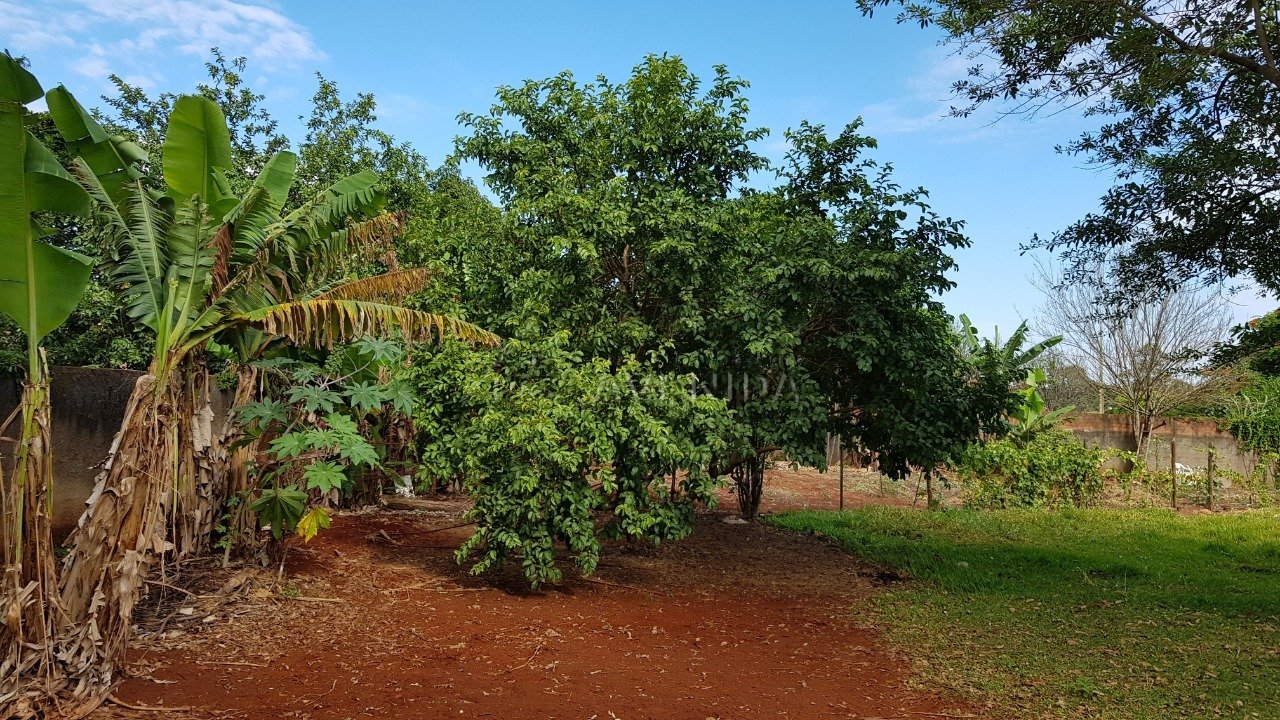 foto do anúncio Chácara com 5.000 m² à Venda no Cafezal 1  (11560)
