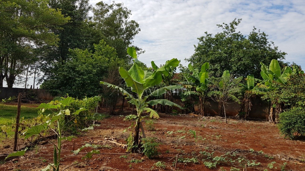 foto do anúncio Chácara com 5.000 m² à Venda no Cafezal 1  (11560)