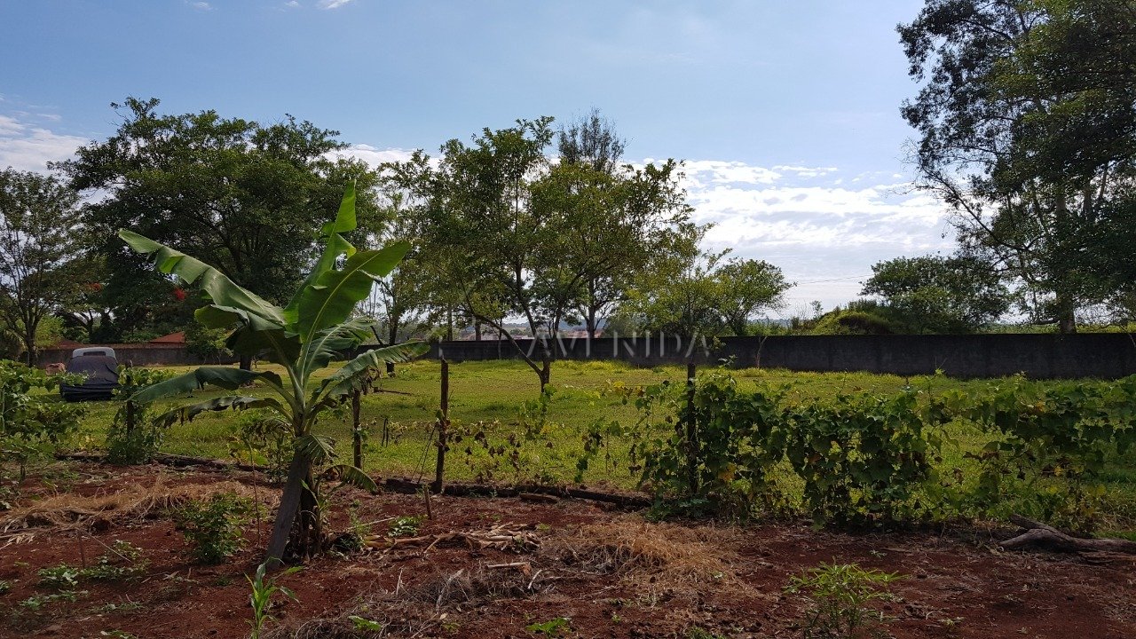 foto do anúncio Chácara com 5.000 m² à Venda no Cafezal 1  (11560)